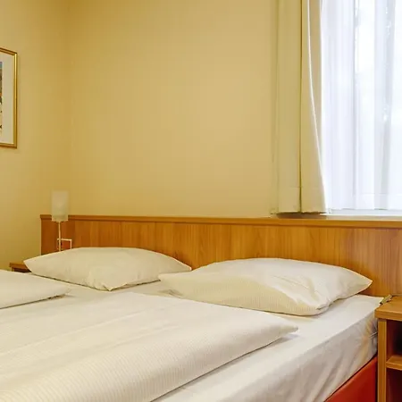 Hotel Traveller 3*